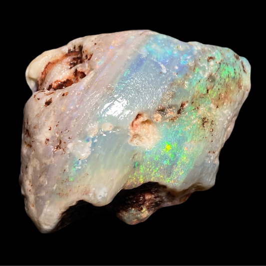 Opalised Shell Fossil